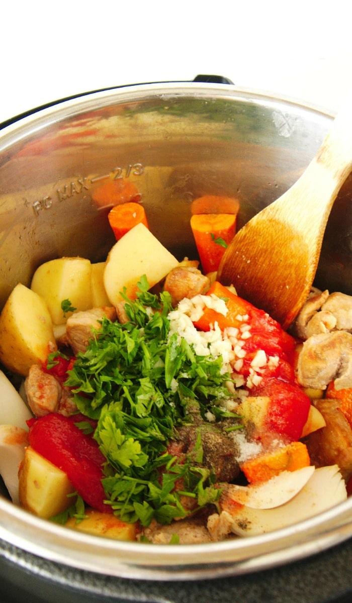 instant pot pork stew