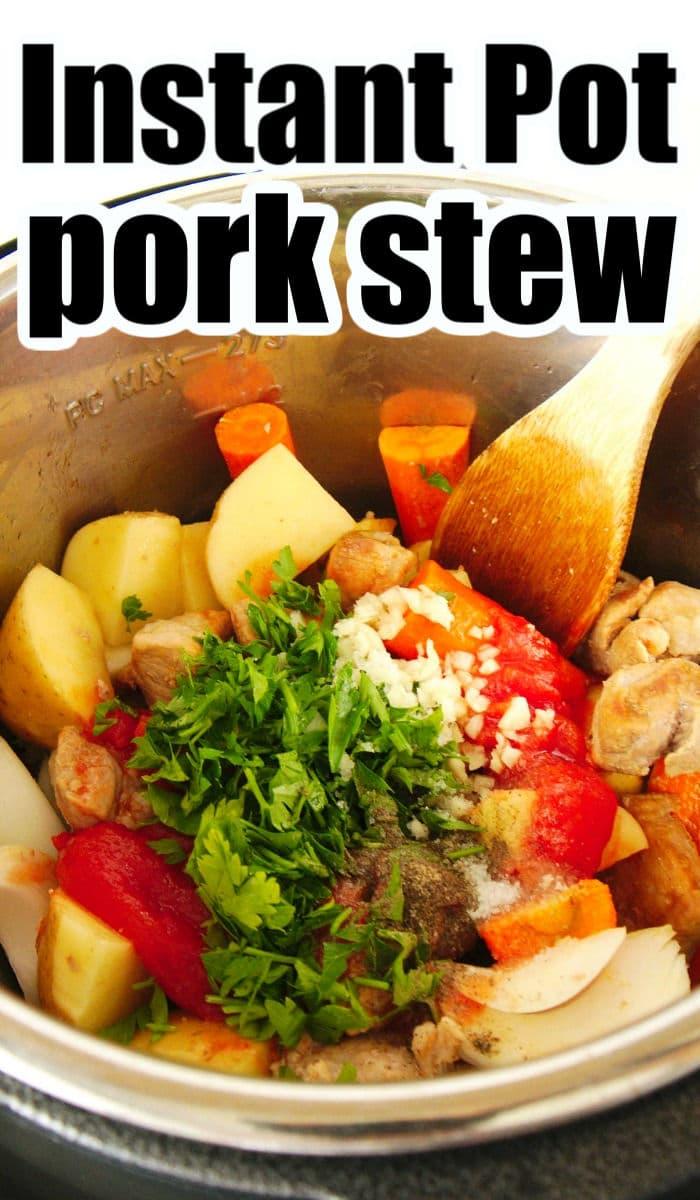 instant pot pork stew