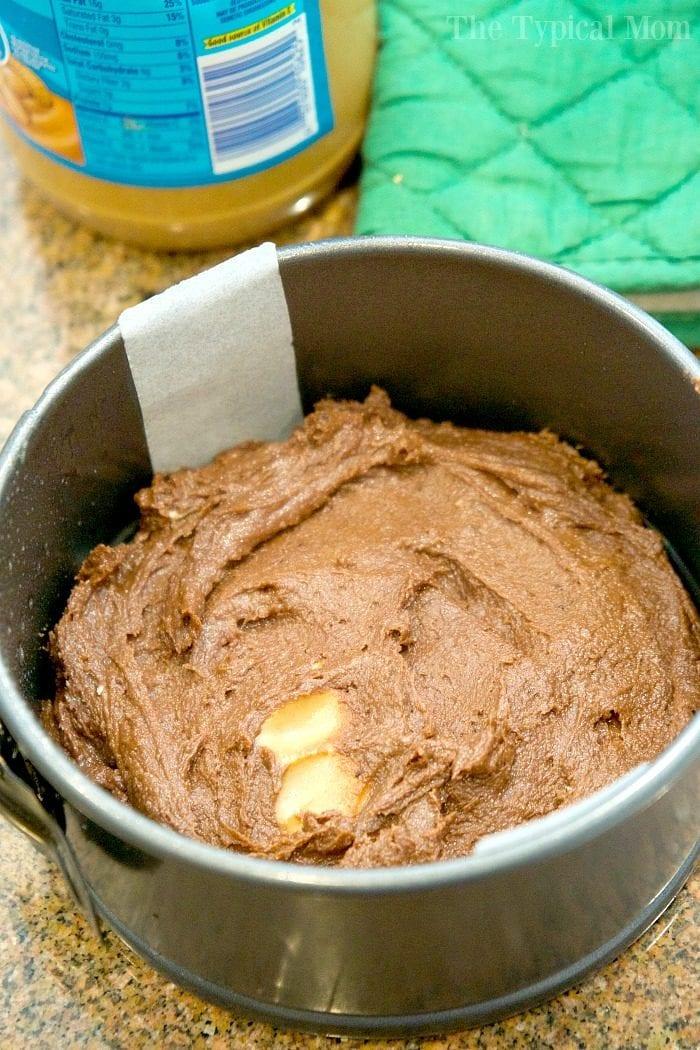Instant Pot Brownies in a Springform Pan