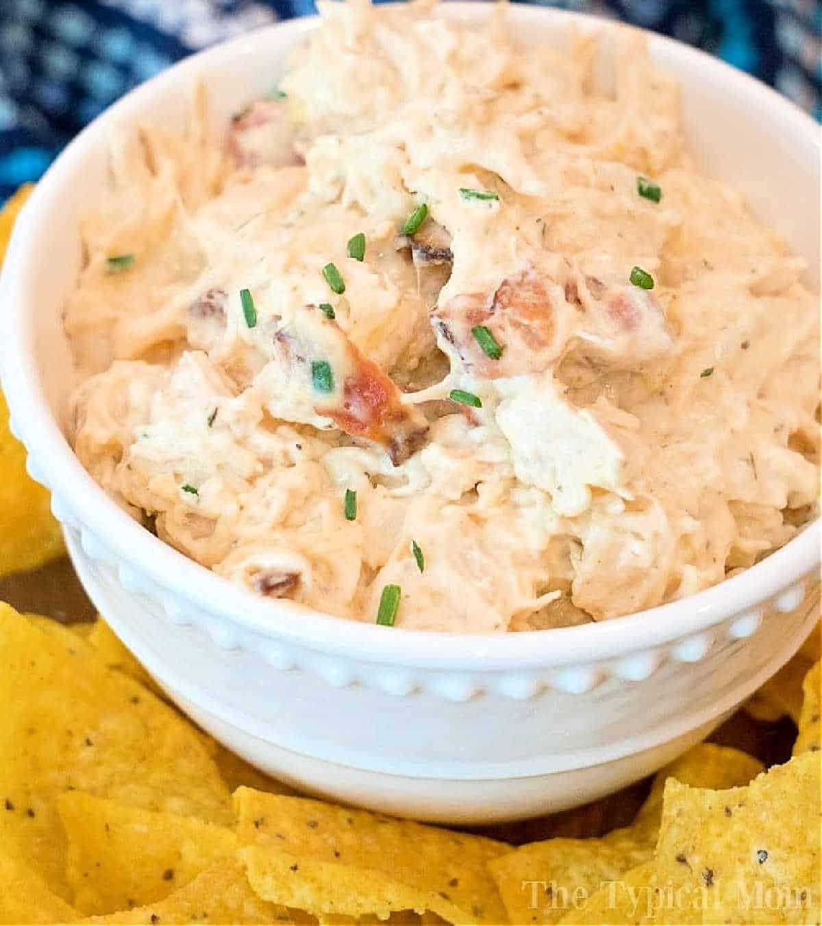 Pressure Cooker Crack Chicken Dip