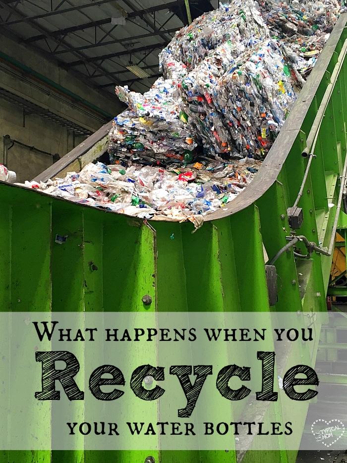 How Recycling Plastic Bottles Works