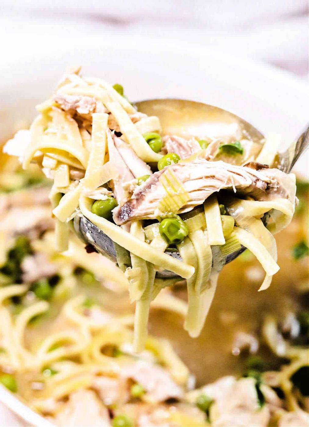 Spicy Chicken Noodle Soup Recipe