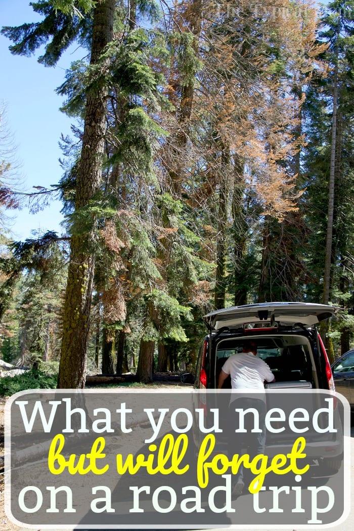 Things to Pack for a Road Trip