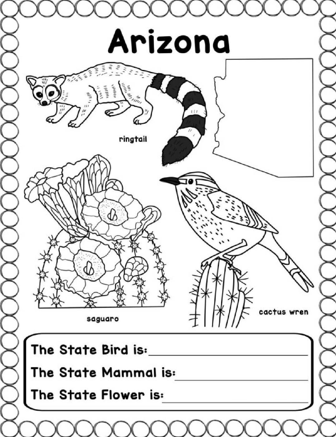 Free US States Worksheets