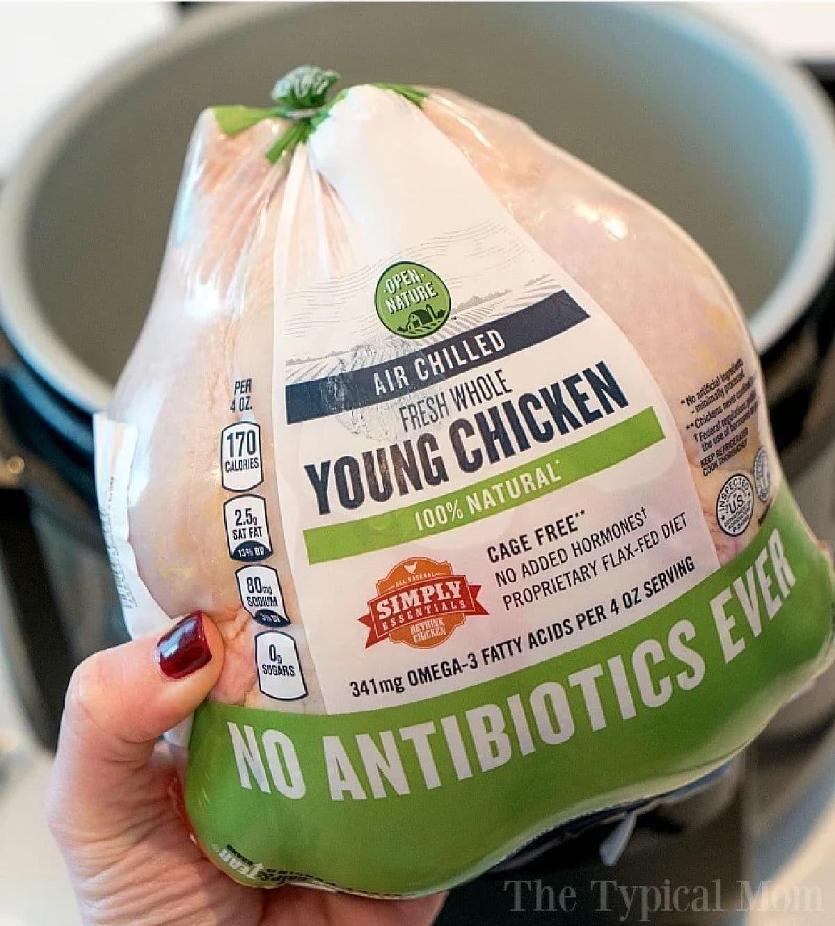 Whole Chicken Instant Pot Recipes