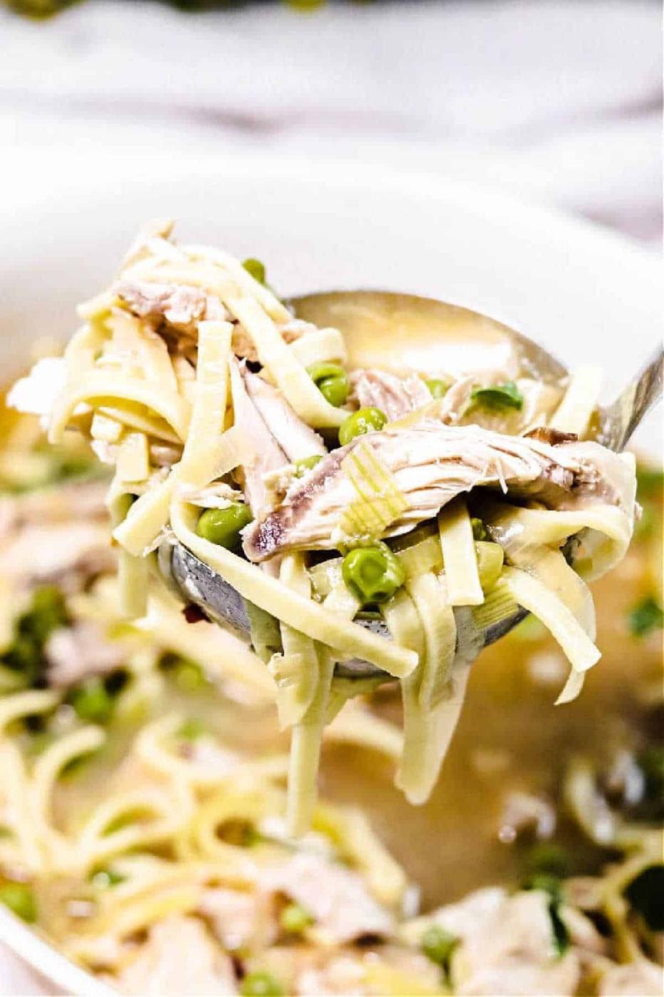 Chicken Noodle Soup with Whole Chicken