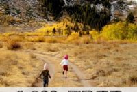 Claim 1,200 Free Photo Prints Every Year from Snapfish and Shutterfly