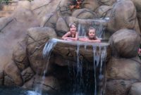 A Splash into Awesome Otters Swim Temecula
