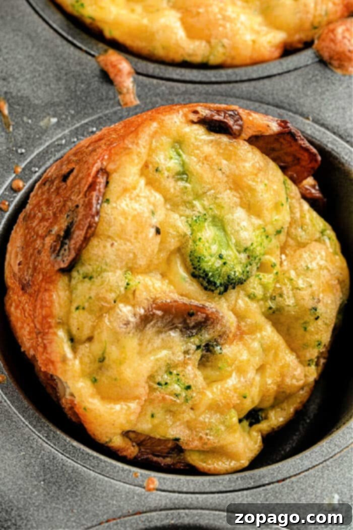 Broccoli & Cheddar Egg Bake 2 Close-up of golden mini crustless broccoli quiches nestled in a muffin tin, ready to be served.