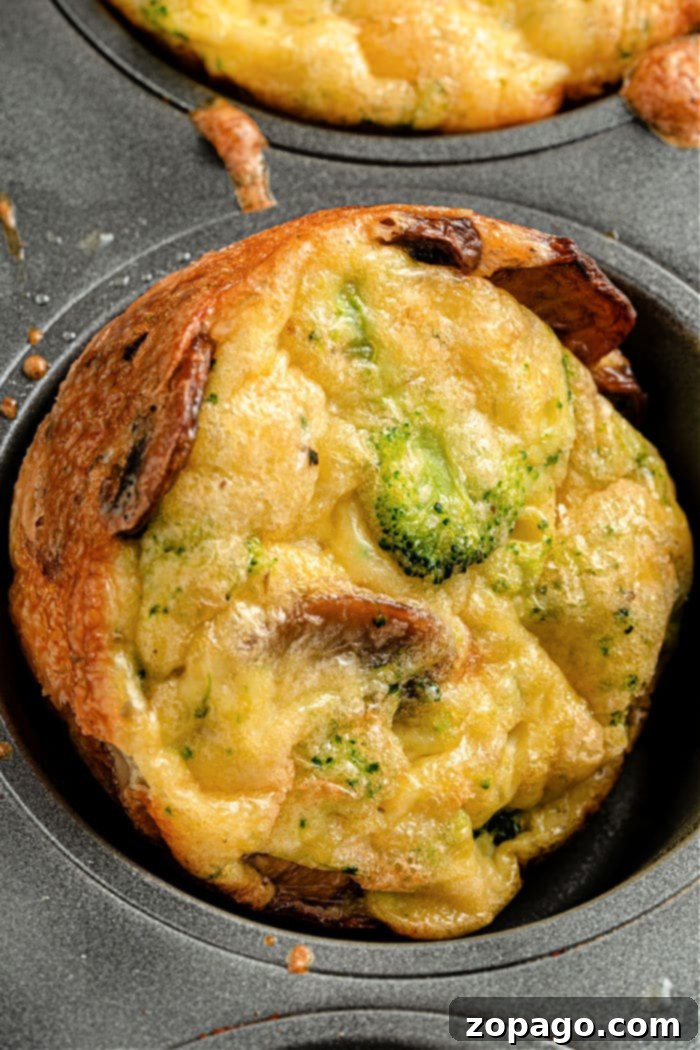 Broccoli & Cheddar Egg Bake 8 A full muffin tin of perfectly baked crustless broccoli quiches, garnished with fresh herbs.