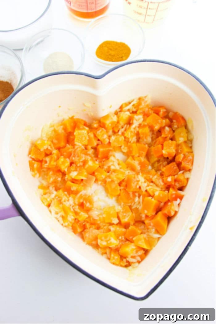 Cozy Canned Pumpkin Soup 6 squash canned pumpkin soup