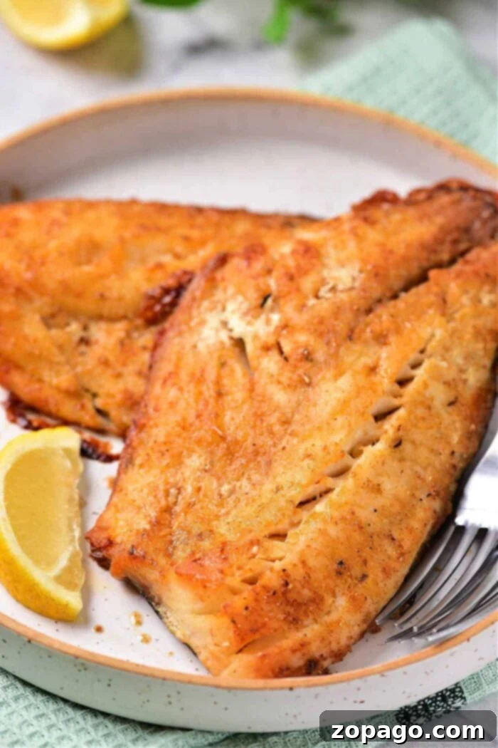Wholesome Air Fryer Creations 2 Air Fryer Healthy Recipes for every meal