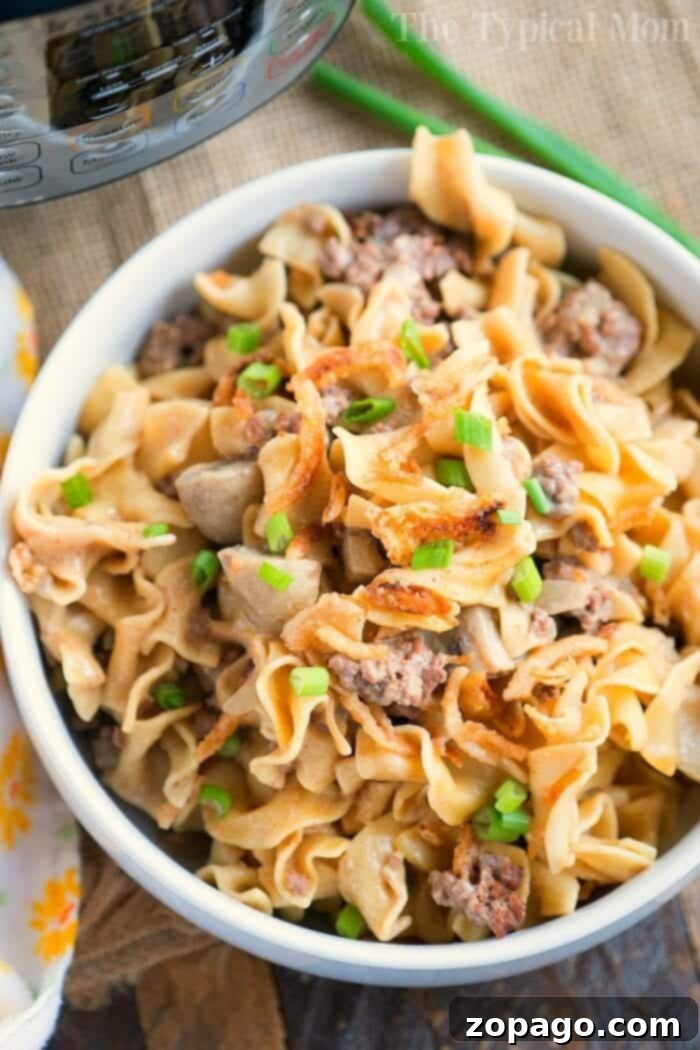 Meatloaf Reinvented 6 A bowl filled with creamy stroganoff pasta, ground meat, and topped with chopped green onions sits next to a yellow floral-patterned napkin. Nearby, a pressure cooker is partially visible in the background.