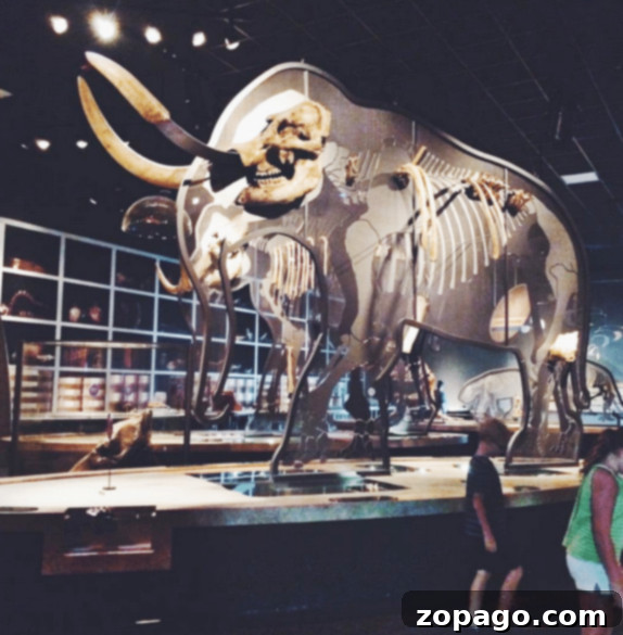 Creative Homeschool Outings 3 Dinosaur Museum Hemet - A Fascinating Exhibit