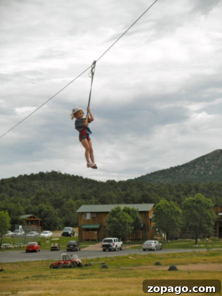 Creative Homeschool Outings 9 Ziplining Adventure - Exciting Outdoor Activities