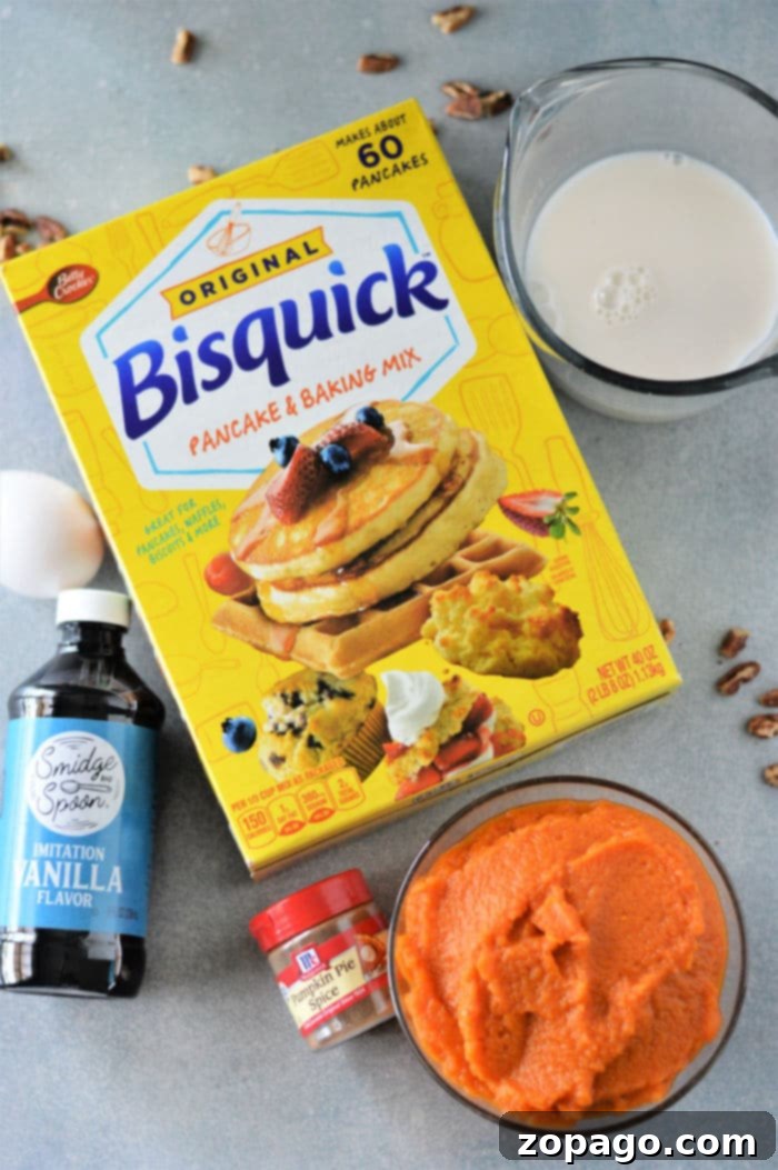 Bisquick Pumpkin Spice Pancakes 3 Bisquick Pumpkin Pancakes ingredients including pumpkin puree, Bisquick mix, an egg, milk, and a jar of pumpkin pie spice.