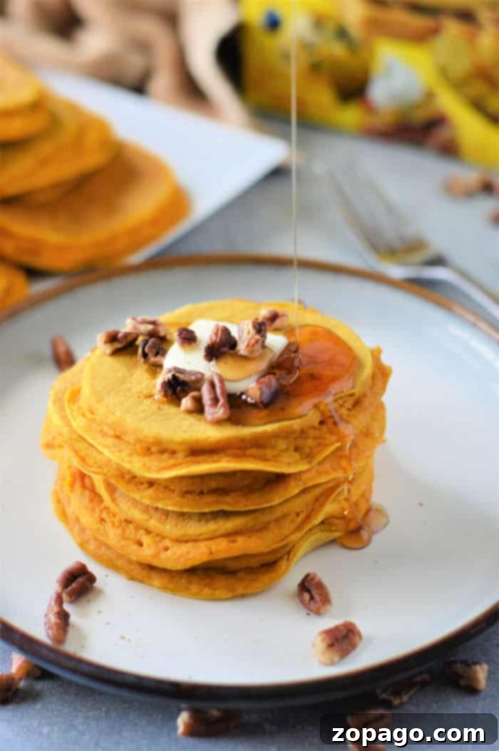 Bisquick Pumpkin Spice Pancakes 7 Close-up of fluffy Bisquick Pumpkin Puff Pancakes with a dusting of powdered sugar.