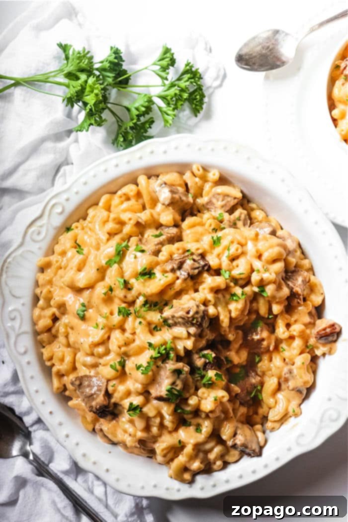 Brisket Remix: Fresh Takes on Leftovers 7 Leftover Brisket Recipe