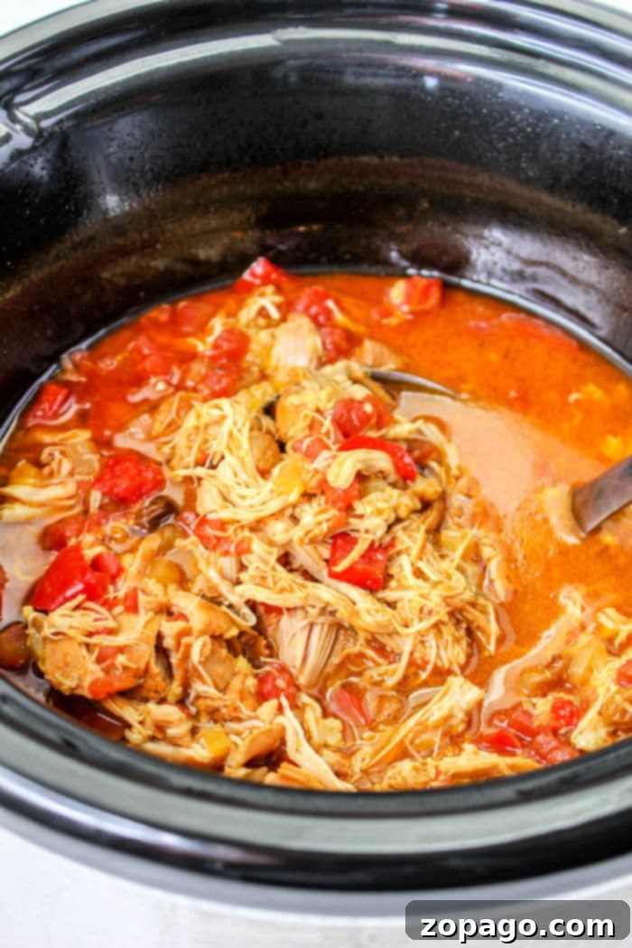 Flavorful Slow Cooker Mexican Pulled Chicken 2 Slow Cooker Shredded Chicken Thighs for Tacos