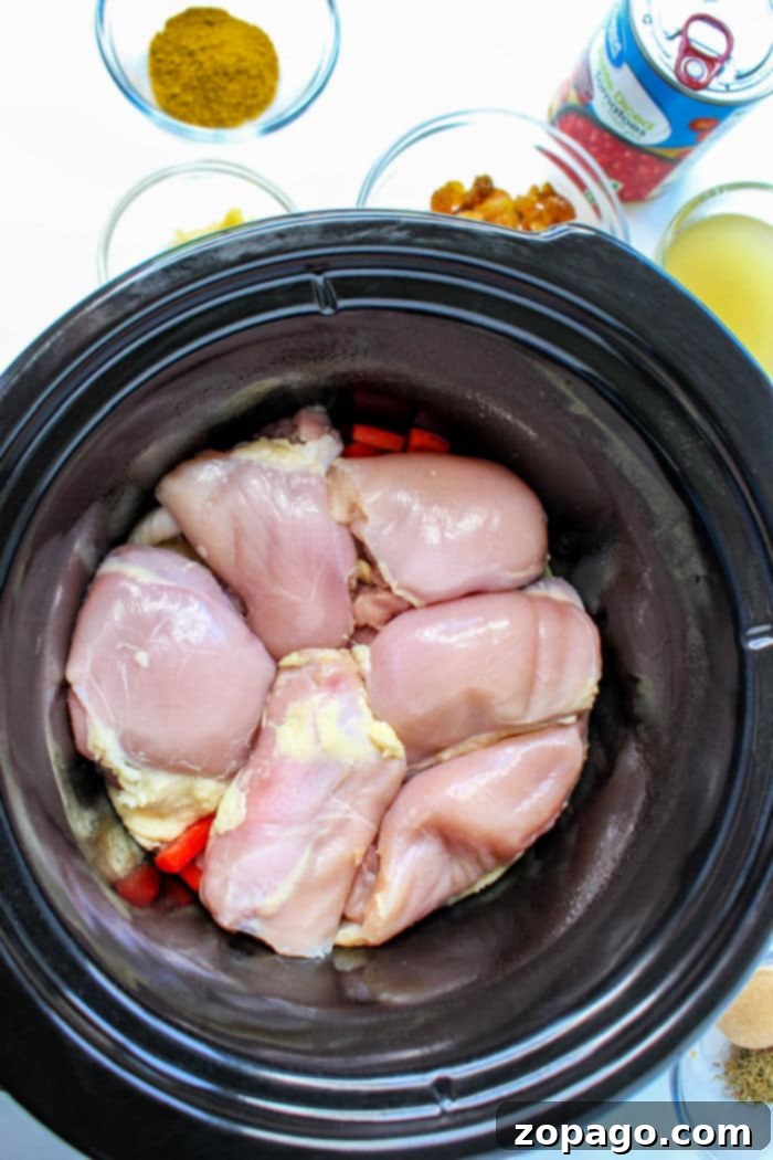 Flavorful Slow Cooker Mexican Pulled Chicken 3 Slow Cooker Mexican Chicken Thighs with Rotel
