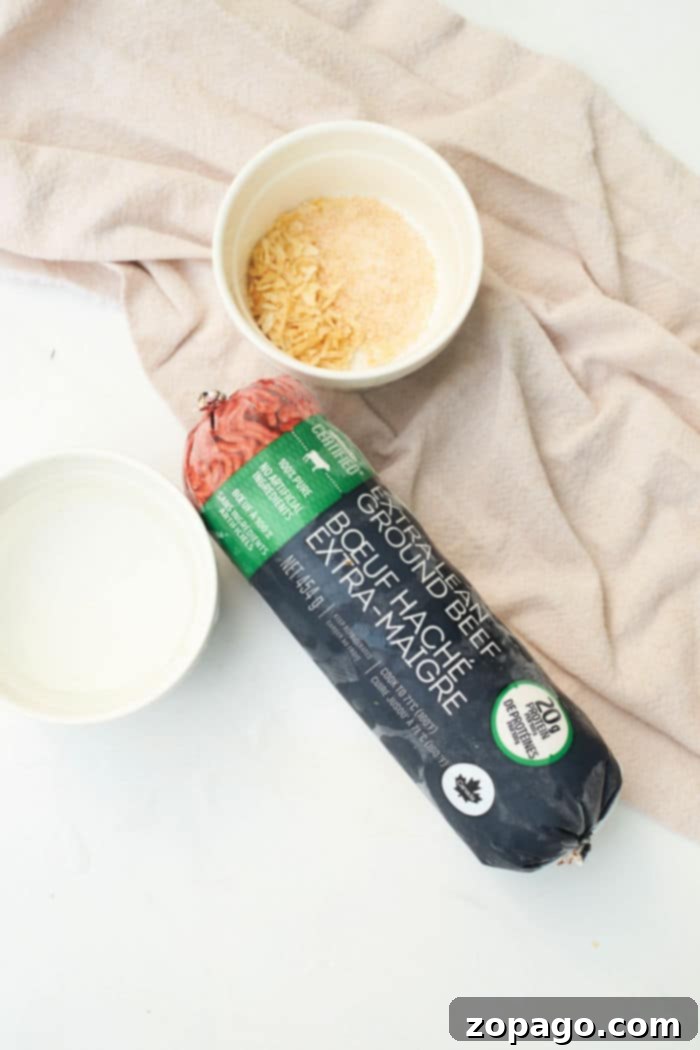 Mastering Frozen Ground Beef 9 How to Cook Frozen Hamburger