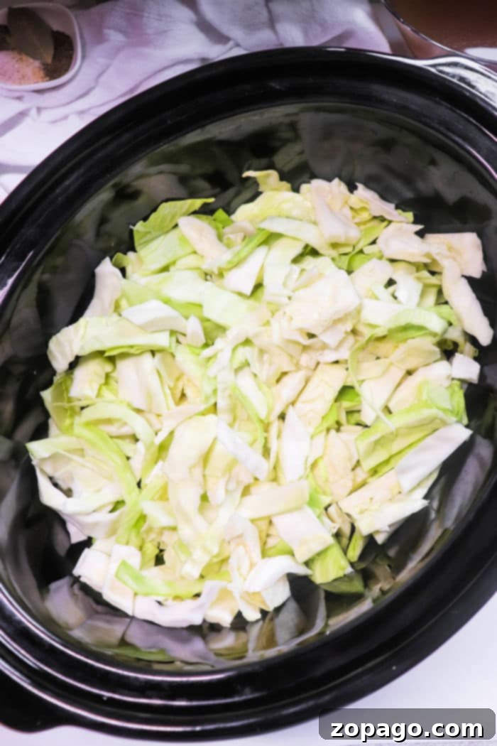 Hearty Cabbage and Ham 3 A savory Ham and Cabbage Recipe cooked to perfection, showcasing tender ingredients