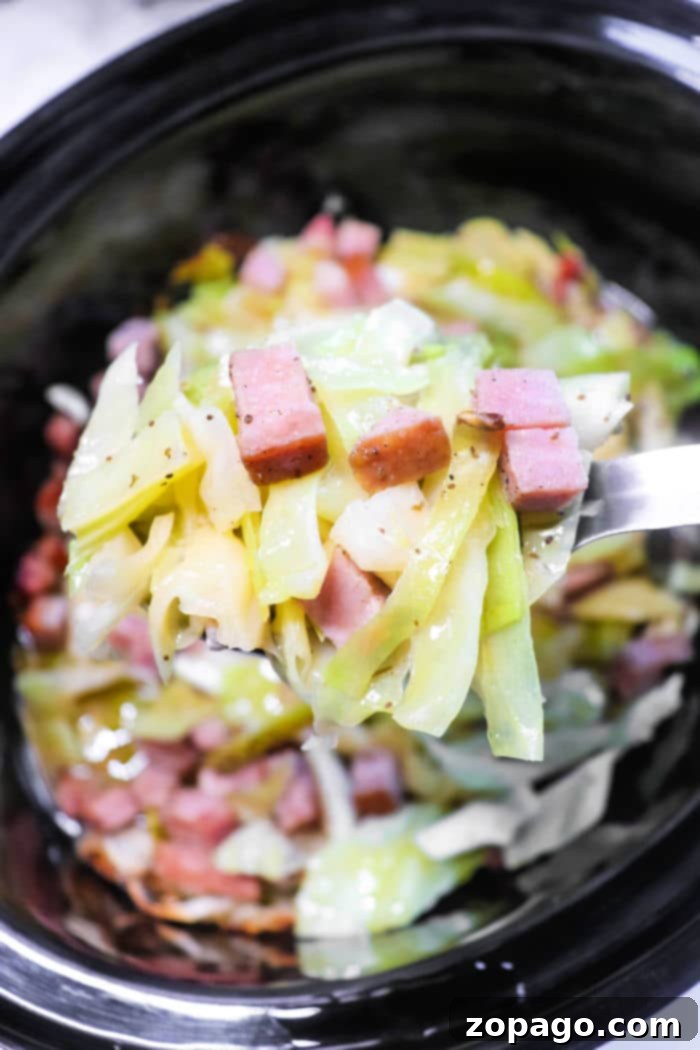 Hearty Cabbage and Ham 5 A perfectly cooked bowl of Crock pot Cabbage and Ham ready to be served