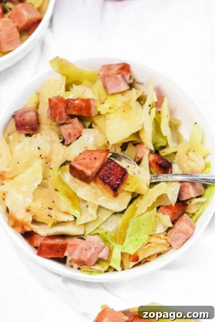 Hearty Cabbage and Ham 7 A large pot of Cabbage and Ham slow cooker stew, ready to serve
