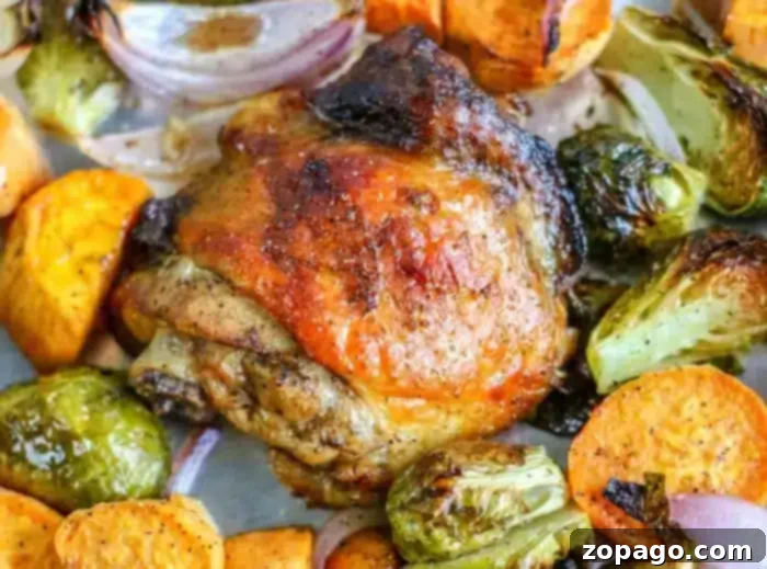 How to Cook Frozen Chicken Thighs Perfectly 5 Frozen Chicken Thighs in Oven