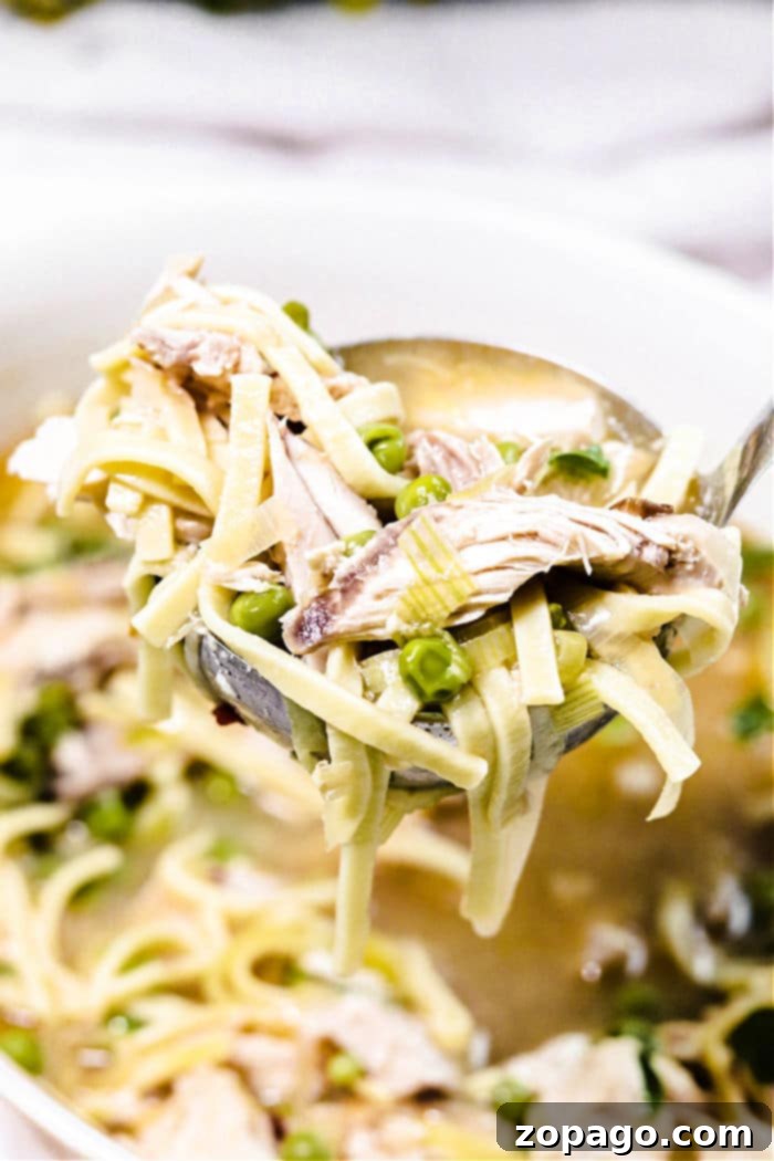 Heartwarming Spicy Chicken Noodle Soup 2 Instant Pot Spicy Chicken Noodle Soup, served in a bowl with fresh herbs.