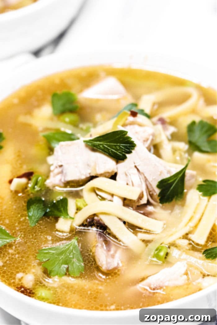 Heartwarming Spicy Chicken Noodle Soup 6 A large pot of spicy chicken noodle soup with steam rising, ready to be served.