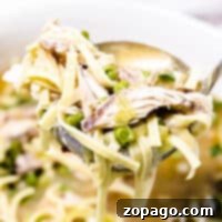 Close-up of a ladle serving spicy chicken noodle soup with peas and noodles from a pot.