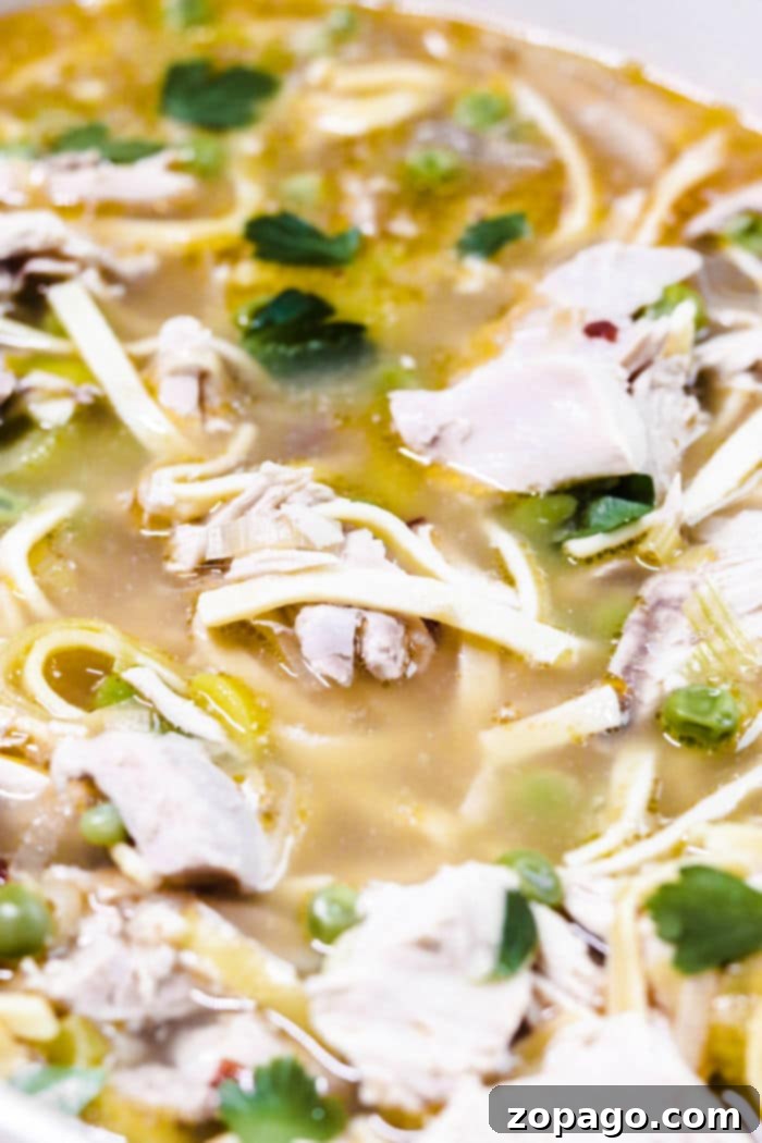 Heartwarming Spicy Chicken Noodle Soup 9 A close-up shot of spicy noodle soup with visible chicken, noodles, and peas in a bowl.