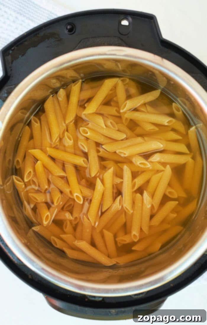 One-Pot Pressure Cooker Pasta 4 Delicious pressure cooker pasta with a hint of sauce
