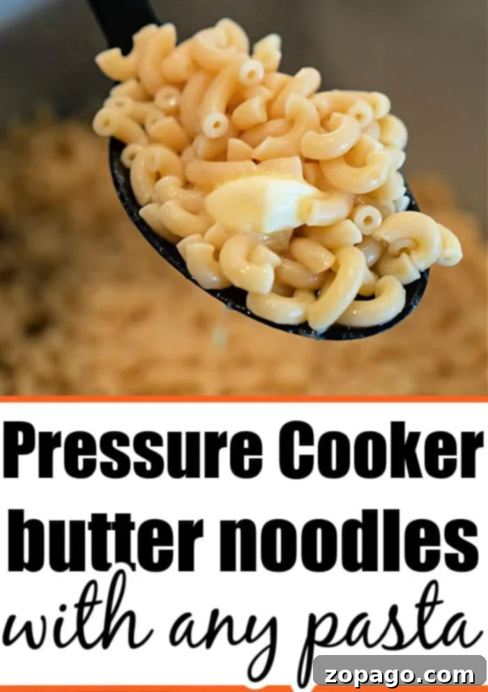 One-Pot Pressure Cooker Pasta 8 A simple bowl of plain pasta cooked in a pressure cooker