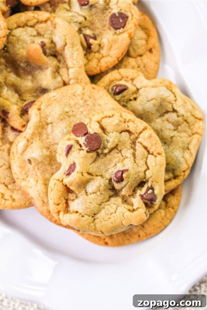 Ultimate Dairy-Free Chocolate Chip Cookies 6 Homemade no-butter cookies in various shapes, plain and with chocolate chips