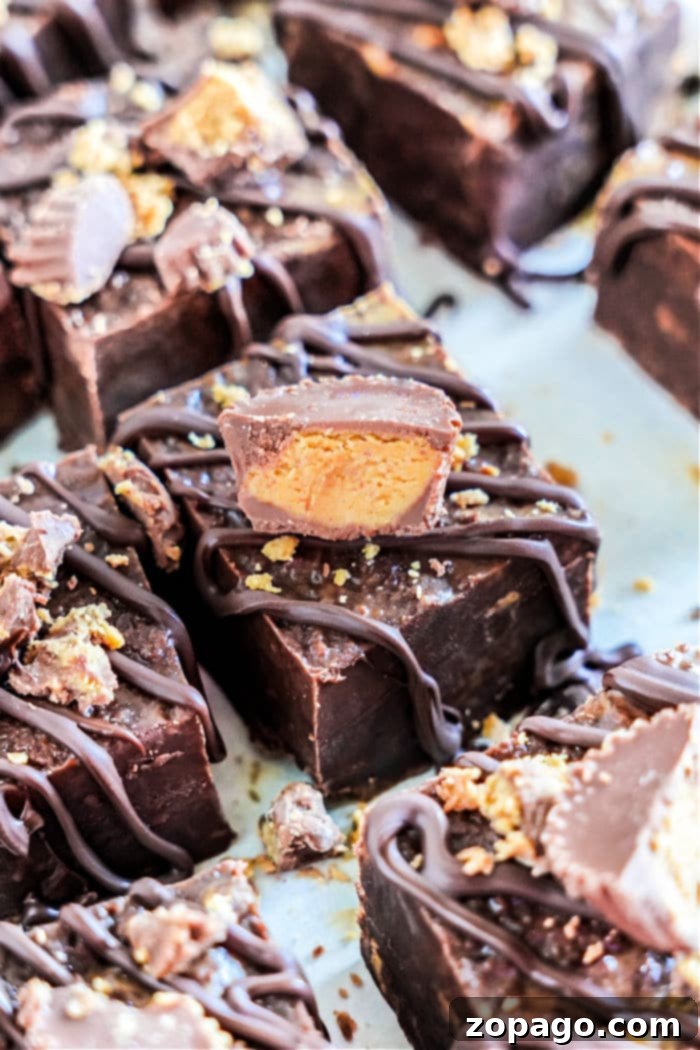 Decadent Peanut Butter Chocolate Fudge 11 Close-up of Peanut Butter Chocolate Fudge squares topped with a drizzle of chocolate and pieces of peanut butter cups. The fudge pieces are arranged on a tray, displaying their rich, chocolatey texture and neatly cut edges. Crushed candy garnishes some of the squares.