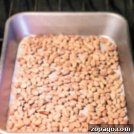 The Secret to Perfectly Roasted Pine Nuts 8 Toasting pine nuts in the oven is a straightforward process. Simply spread them on a baking tray for perfect roasting, achieving a golden brown hue and enhancing their rich, buttery flavor.
