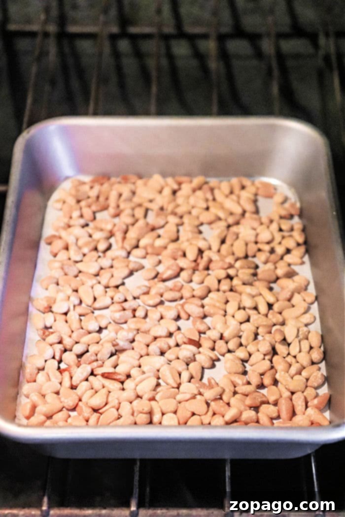 The Secret to Perfectly Roasted Pine Nuts 7 How to Toast Pine Nuts