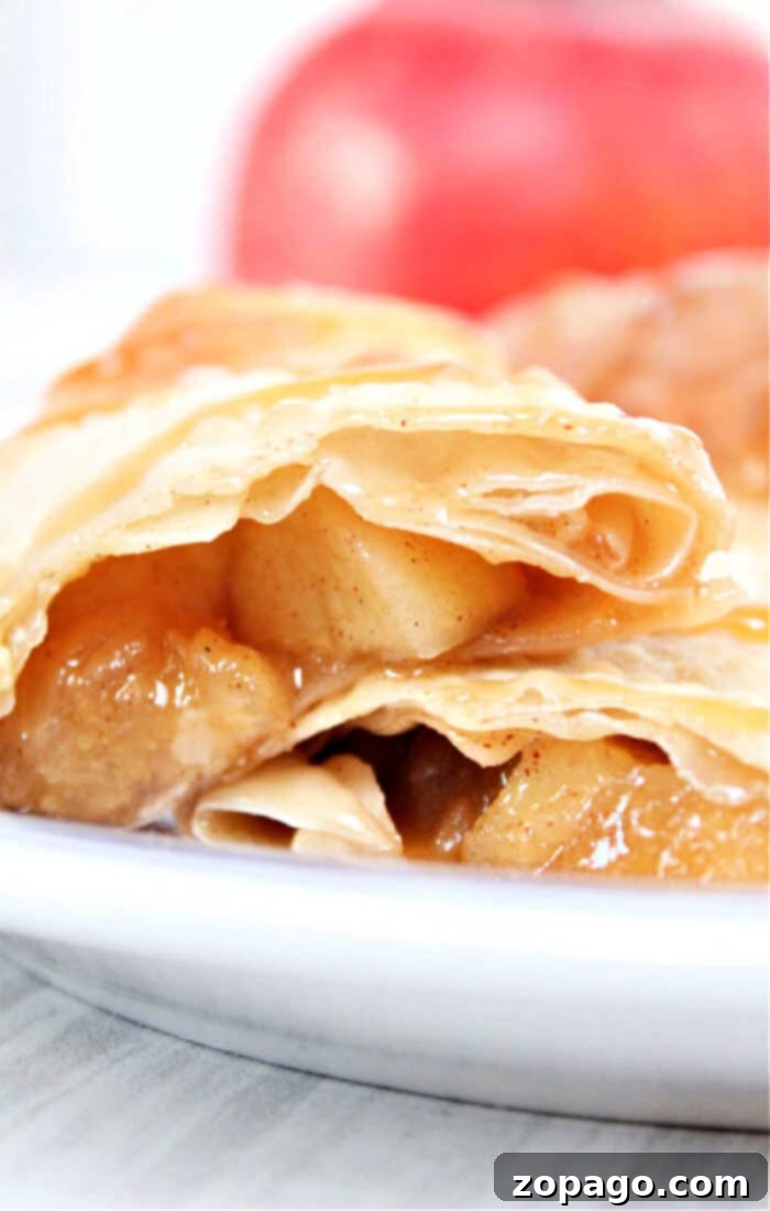 Crispy Air Fryer Apple Pie Egg Rolls 2 Close-up of golden brown air fryer apple pie egg rolls on a white plate, showcasing their flaky pastry and rich, spiced apple filling.