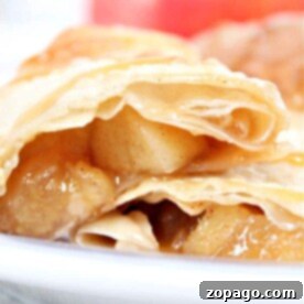 Crispy Air Fryer Apple Pie Egg Rolls 8 Ninja Foodi Apple Egg Rolls