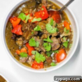 A bowl of hearty beef stew with chunks of tender beef, oxtail curry flavors, red tomatoes, and vibrant cilantro leaves, served with a spoon.