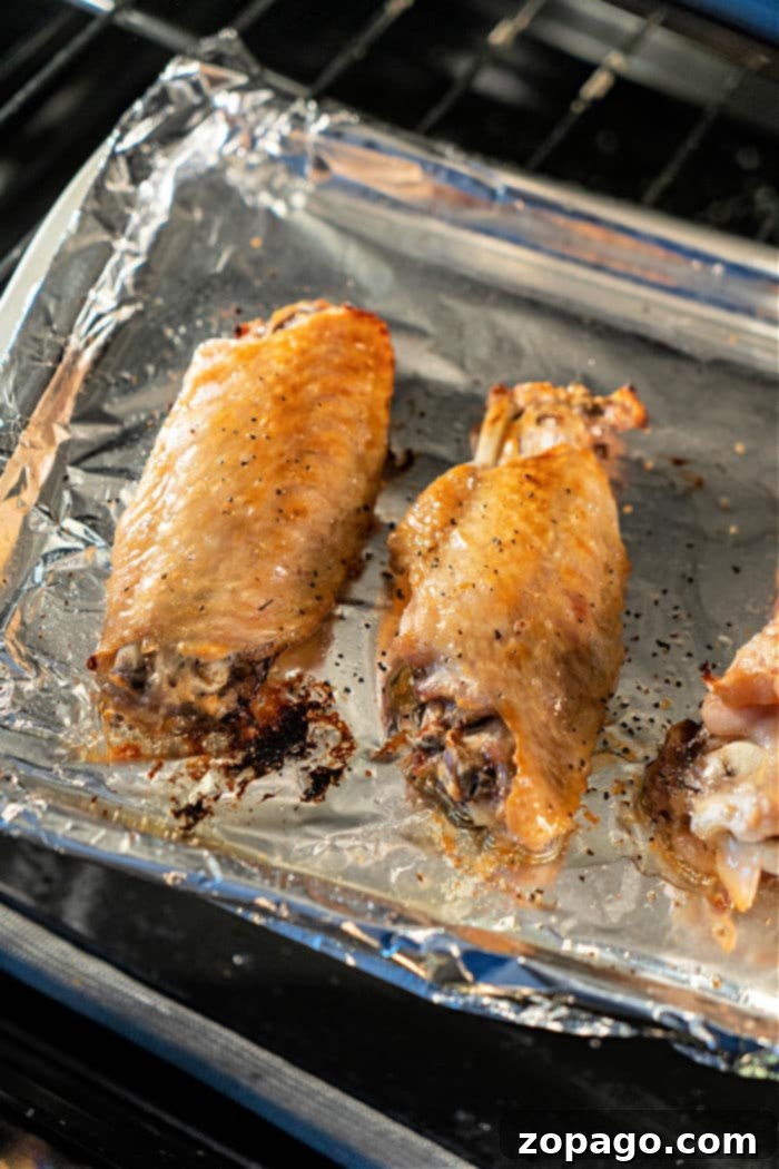 Golden Baked Turkey Wings 5 Turkey Wings in the Oven: A baking tray filled with perfectly golden, oven-baked turkey wings, showcasing their appealing color and slight char.