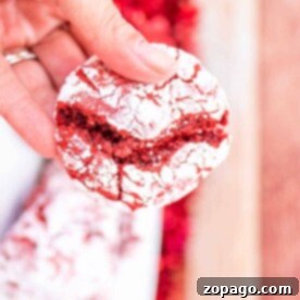 A hand holding a cracked cake mix red velvet crinkle cookie, dusted with powdered sugar.