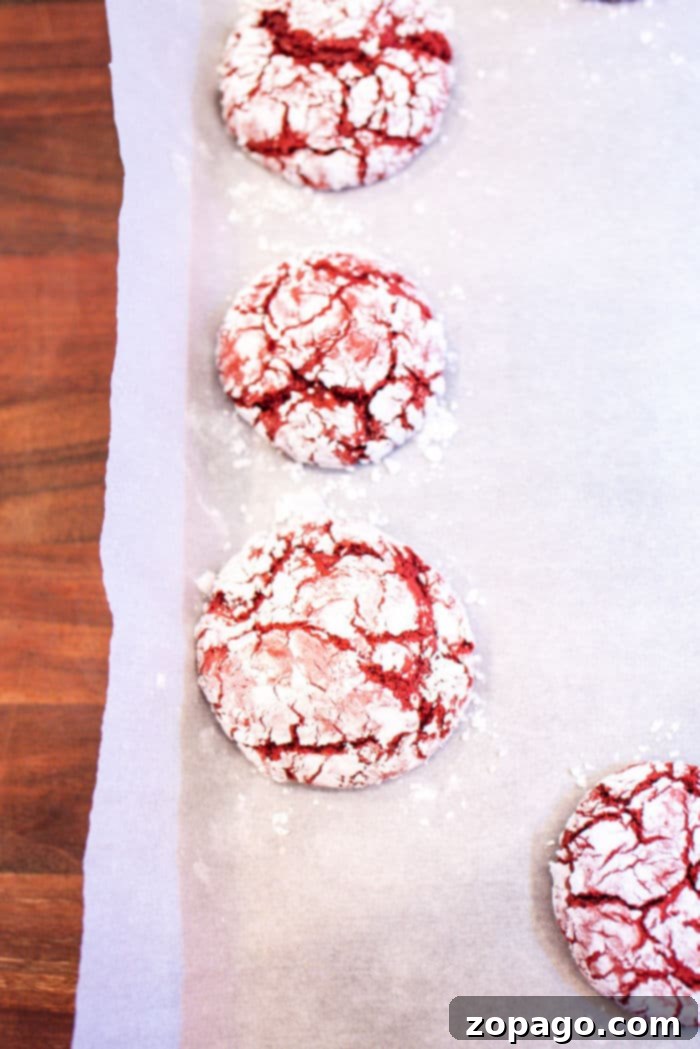 Red Velvet Crinkle Cookies Cake Mix 7 Red Velvet Cookies - A beautiful spread of baked crinkle cookies.