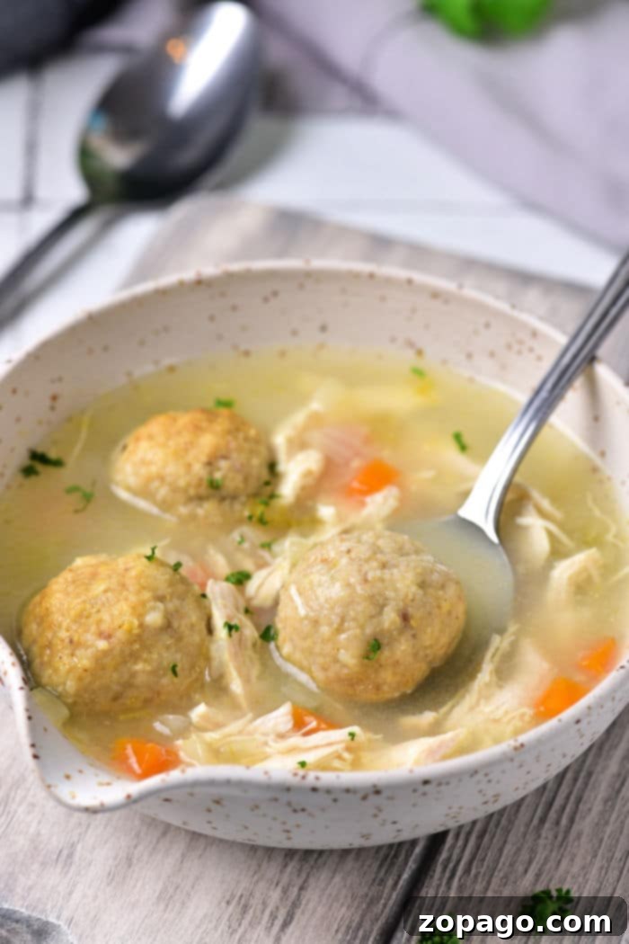 Soul-Warming Chicken Matzo Ball Soup 7 A vibrant and healthy bowl of Vegetarian Matzo Ball Soup, with fresh herbs and colorful vegetables.