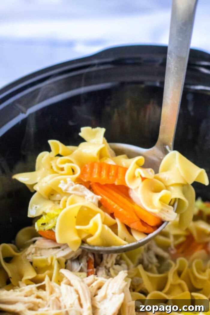 Perfectly Cooked Egg Noodles: Timing Tips 3 How Long to Cook Egg Noodles in Crock Pot - Perfect for Slow-Cooked Meals