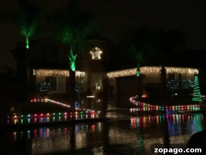 The Ultimate Temecula Christmas Lights Map 4 A house in Temecula is decorated with colorful Christmas lights. Green lights illuminate the palm trees, while white and multicolored lights adorn the house and yard. A star decoration is displayed above the entrance, and wet pavement reflects the festive glow at night.