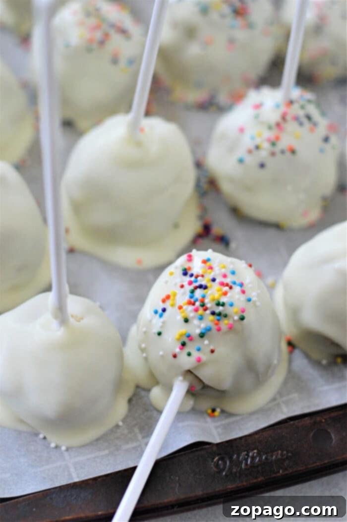 Effortless Cake Pops from a Box Mix 6 Cake Pop Recipe with Cake Mix