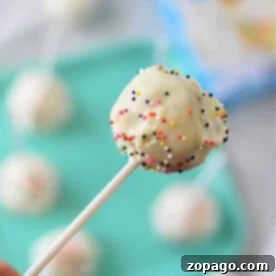 Learn how to make cake pops with cake mix—these delightful treats feature a cake pop coated in white icing, adorned with colorful sprinkles on a stick, set against a blurred background.